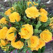 Striking Yellow Roses