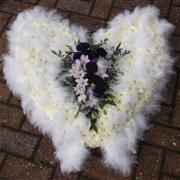 Angel Wings