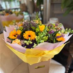 Season for Yellows 