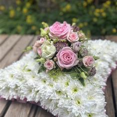 Soft and Pretty Cushion 