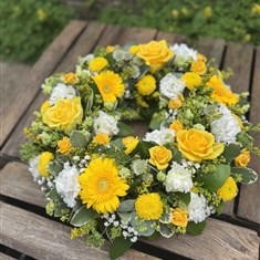 Yellows 