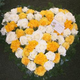 fwthumbdscf_0168_l.jpg