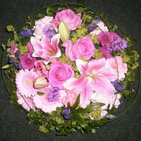fwthumboc_08_032_l.jpg